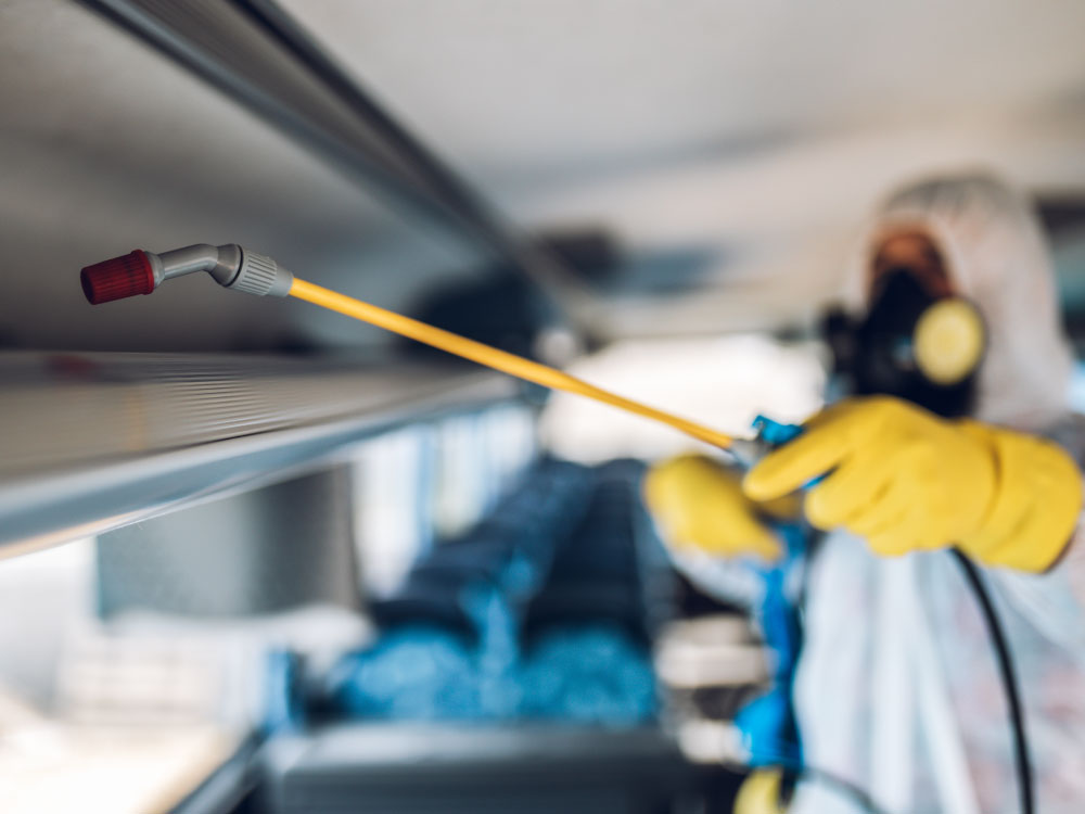 sanificazione igienizzazione ambienti pubblici mense scuole autobus